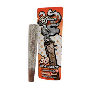 Chapo Disposable