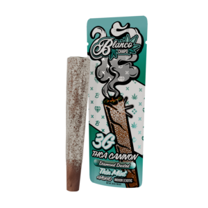 Chapo Disposable